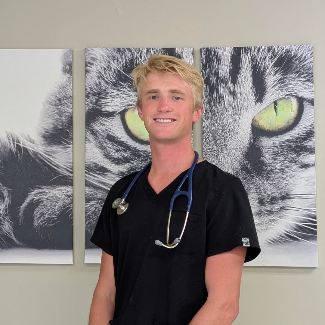 Dr. Jorgensen Cincinnati Ohio Veterinary Services
