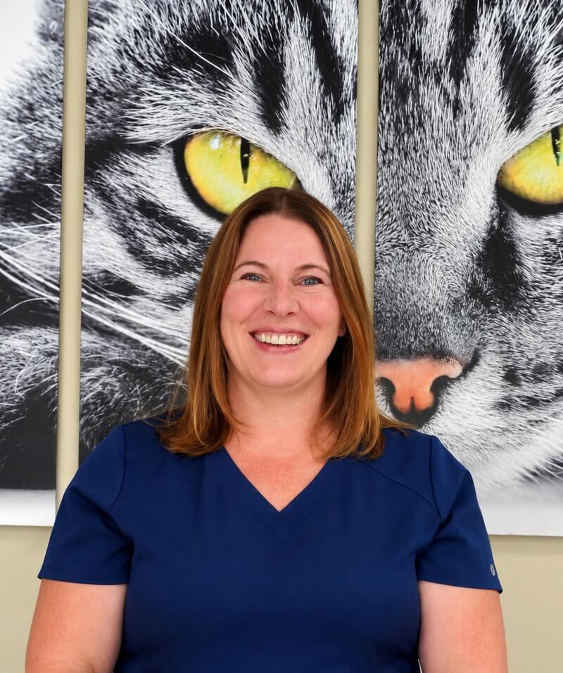 Dr. Bergman, veterinarian at East Hills Veterinary Clinic