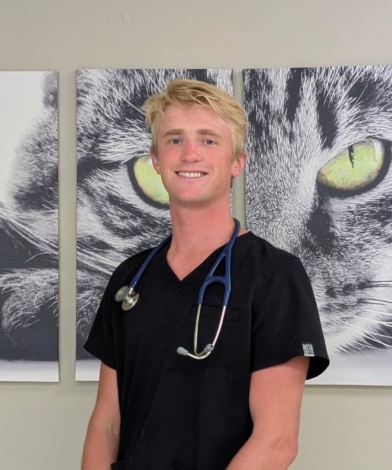 Dr. Jorgensen, veterinarian at East Hills Veterinary Clinic