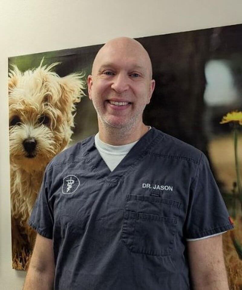 Dr. Leszkowicz, veterinarian at Red Bank Veterinary Hospital