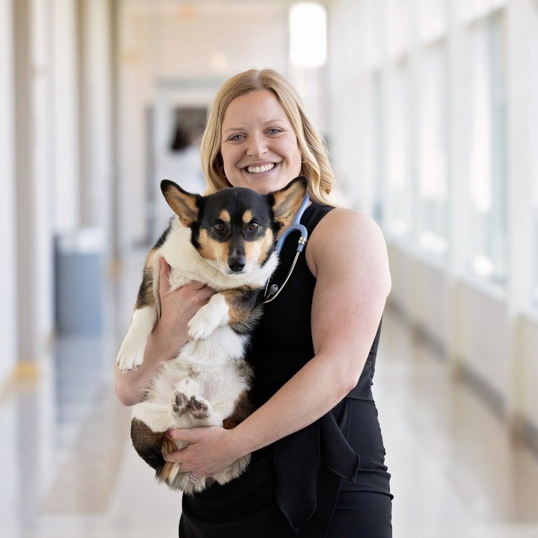 Dr. Crawford Associate Veterinarian East Hills Vet