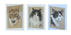 East Hills Vet Hospital Cats 