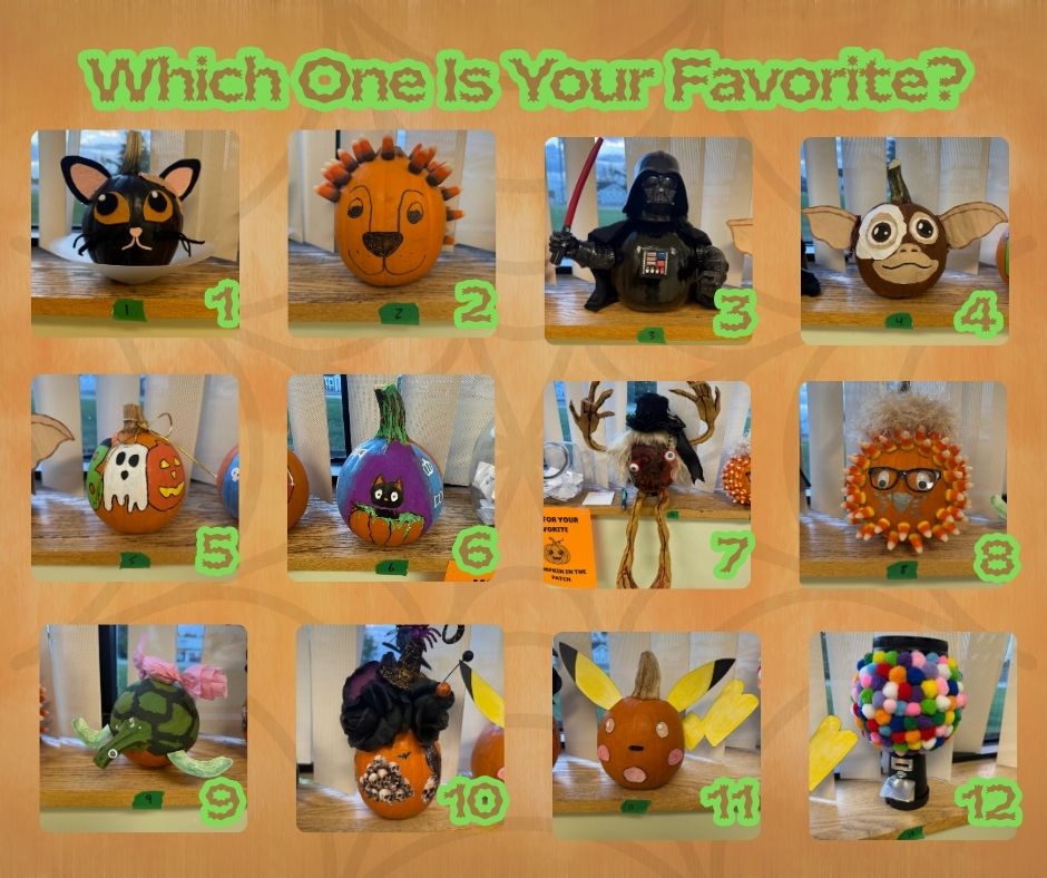 East Hills Vet Pumpkin Contest