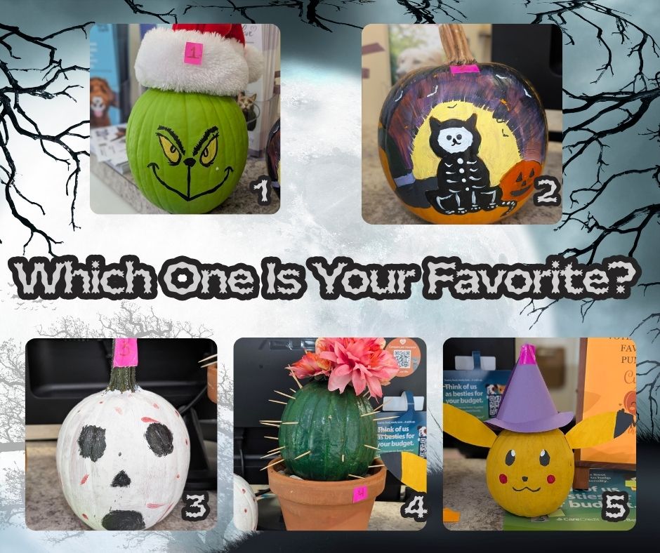 Red Bank Vet Cincinnati Ohio Pumpkin Contest