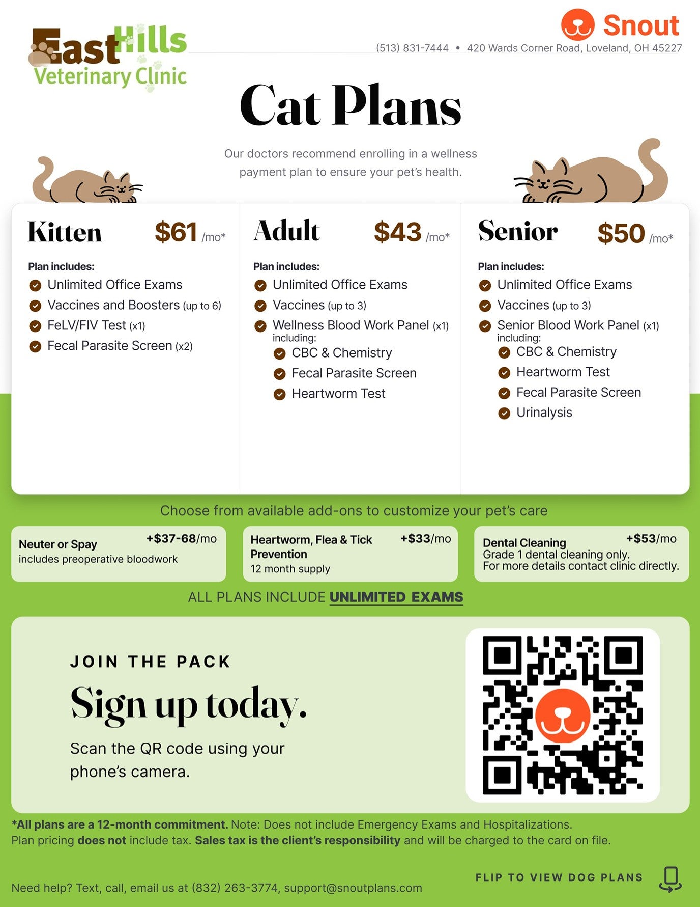 Cat Wellness Payment Plans East Hills Vet Loveland OH