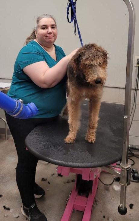 redbankgrooming