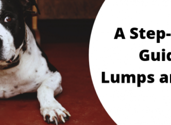 A Step-by-Step Guide to Lumps and Bumps